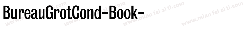 BureauGrotCond-Book字体转换