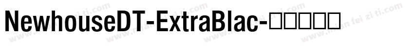 NewhouseDT-ExtraBlac字体转换
