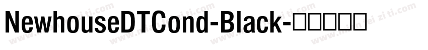 NewhouseDTCond-Black字体转换