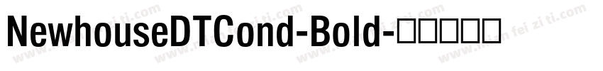 NewhouseDTCond-Bold字体转换