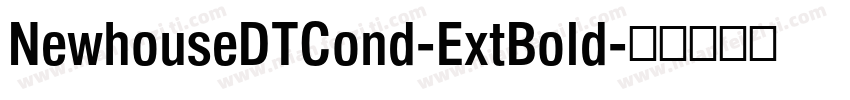 NewhouseDTCond-ExtBold字体转换