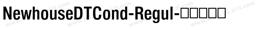 NewhouseDTCond-Regul字体转换
