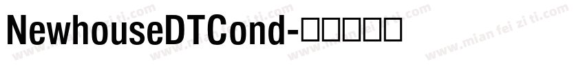 NewhouseDTCond字体转换