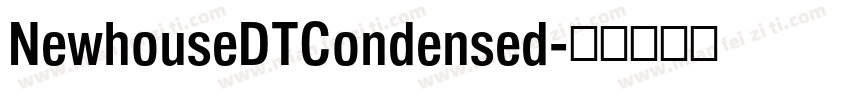 NewhouseDTCondensed字体转换