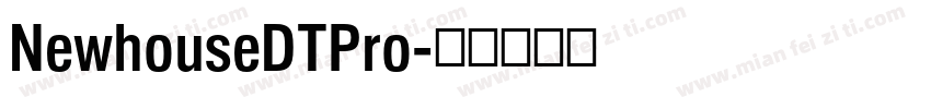 NewhouseDTPro字体转换