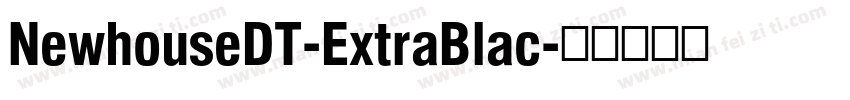 NewhouseDT-ExtraBlac字体转换
