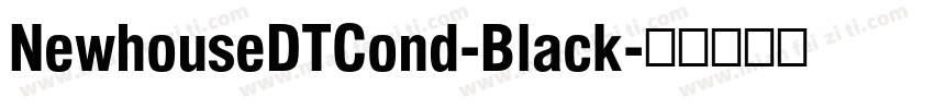 NewhouseDTCond-Black字体转换