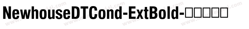 NewhouseDTCond-ExtBold字体转换
