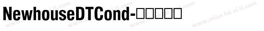 NewhouseDTCond字体转换