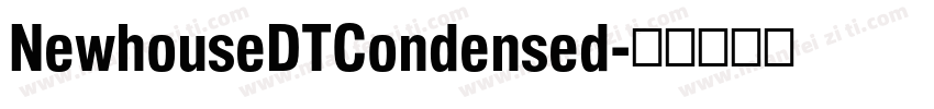 NewhouseDTCondensed字体转换