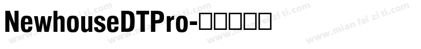 NewhouseDTPro字体转换