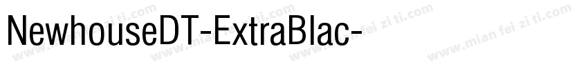 NewhouseDT-ExtraBlac字体转换