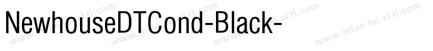 NewhouseDTCond-Black字体转换