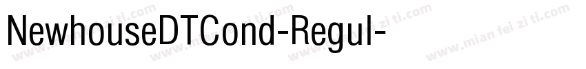 NewhouseDTCond-Regul字体转换