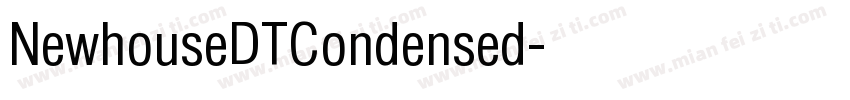 NewhouseDTCondensed字体转换