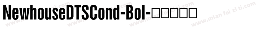 NewhouseDTSCond-Bol字体转换