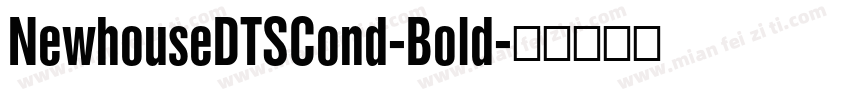 NewhouseDTSCond-Bold字体转换