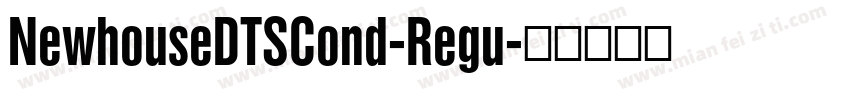 NewhouseDTSCond-Regu字体转换