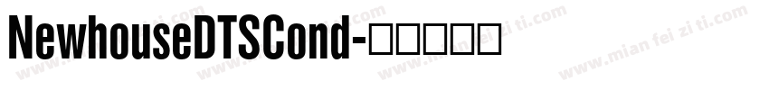 NewhouseDTSCond字体转换