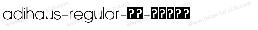 AdiHaus-Regular-常规字体转换