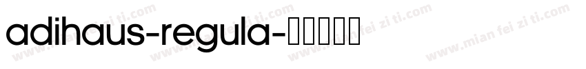 AdiHaus-Regula字体转换