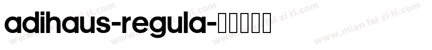 AdiHaus-Regula字体转换