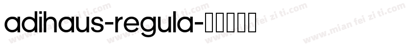 AdiHaus-Regula字体转换