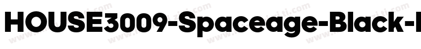 HOUSE3009-Spaceage-Black-Beta字体转换
