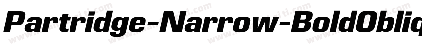 Partridge-Narrow-BoldOblique字体转换