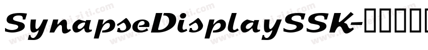 SynapseDisplaySSK字体转换