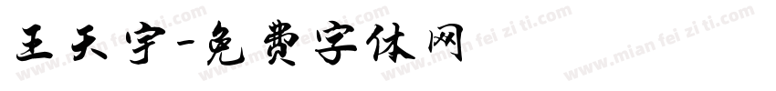 王天宇字体转换