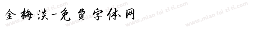 金梅淡字体转换