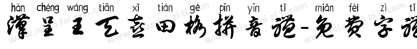 汉呈王天喜田格拼音体字体转换