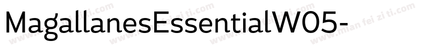 MagallanesEssentialW05字体转换