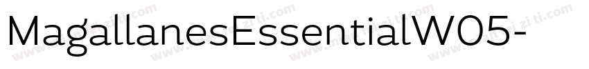 MagallanesEssentialW05字体转换