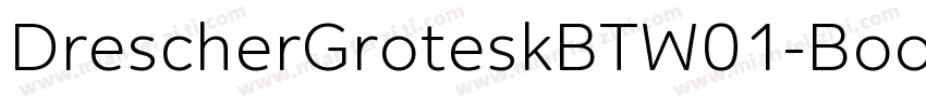 DrescherGroteskBTW01-Book字体转换