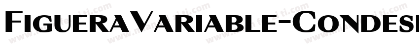 FigueraVariable-Condesed字体转换
