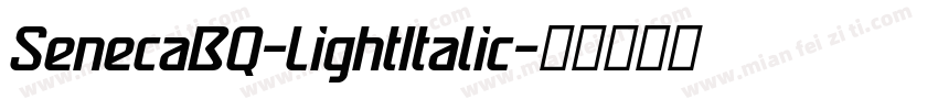 SenecaBQ-LightItalic字体转换