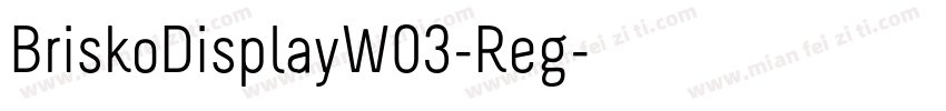 BriskoDisplayW03-Reg字体转换