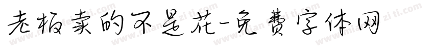 老板卖的不是花字体转换