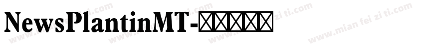 NewsPlantinMT字体转换