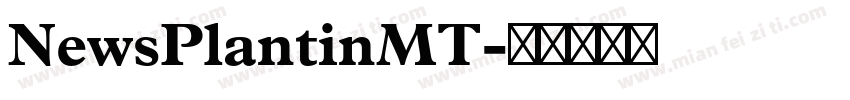 NewsPlantinMT字体转换