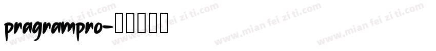 pragrampro字体转换