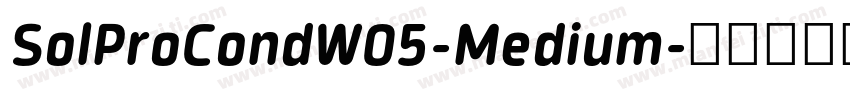 SolProCondW05-Medium字体转换