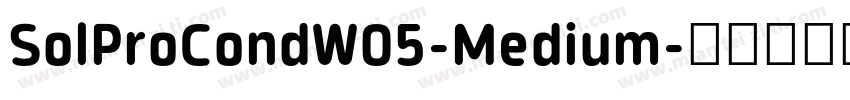 SolProCondW05-Medium字体转换