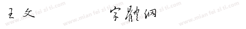 王文新字体转换
