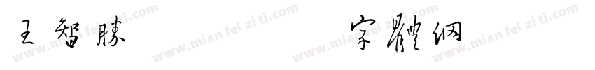 王智胜收到字体转换