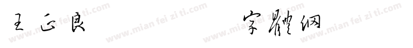 王正良tt字体转换