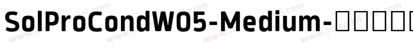 SolProCondW05-Medium字体转换