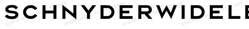 SchnyderWideLBold字体转换